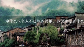 为什么很多人不建议养泥鳅，养泥鳅需要什么条件