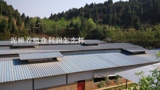 泥鳅养殖业利润怎么样
