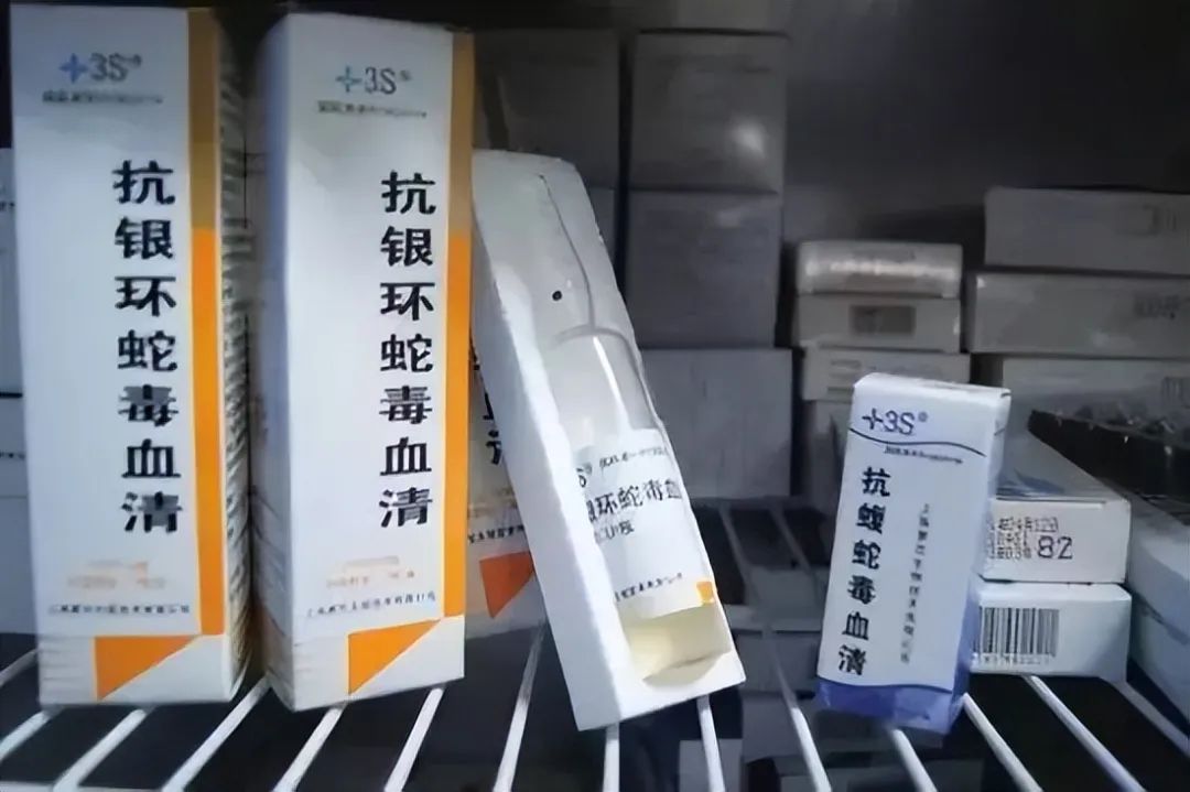 致富经银环蛇养殖_银环蛇养殖视频直播_银环蛇养殖致富经