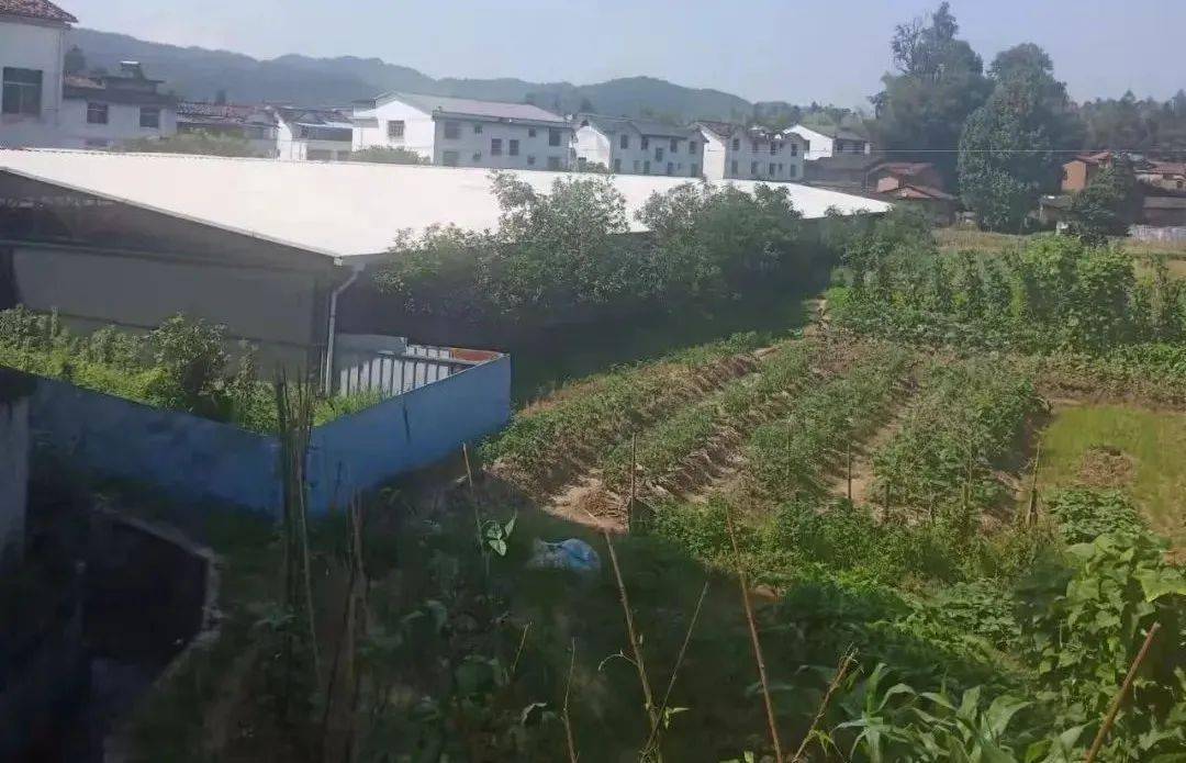 尤溪这个地方上榜省级基地！