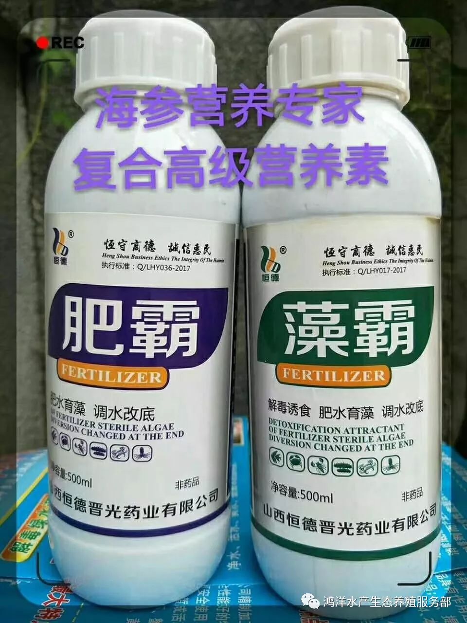 大棚海叁养殖技术_大棚海水养殖项目_大棚海参养殖怎样能提高产量