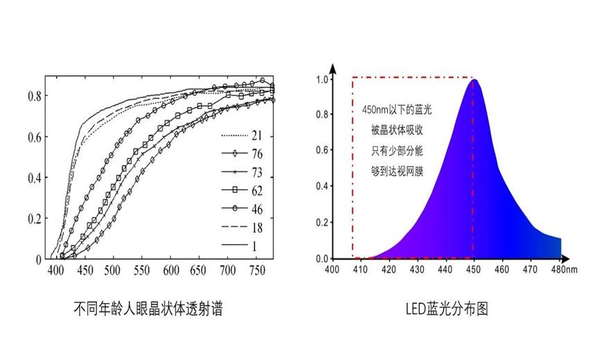 白豚鼠的养殖技术_养殖白豚鼠技术要求_养殖白豚鼠技术与管理