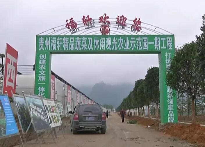 黄瓤西瓜种植_黄玉西瓜怎么挑_黄玉西瓜种植技术