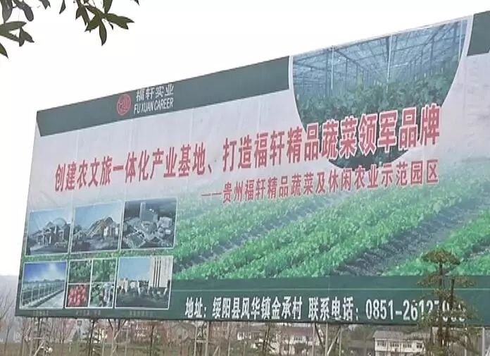 黄瓤西瓜种植_黄玉西瓜怎么挑_黄玉西瓜种植技术