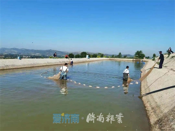 致富经金鱼养殖视频_金鱼大王养殖金鱼致富_致富经金鱼