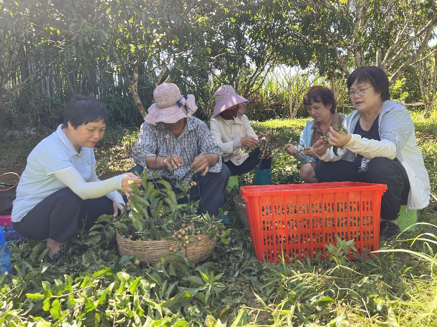 海南养殖户_海南农村创业好项目养殖类_海南养殖创业致富