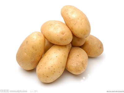 环球白菜是不是转基因