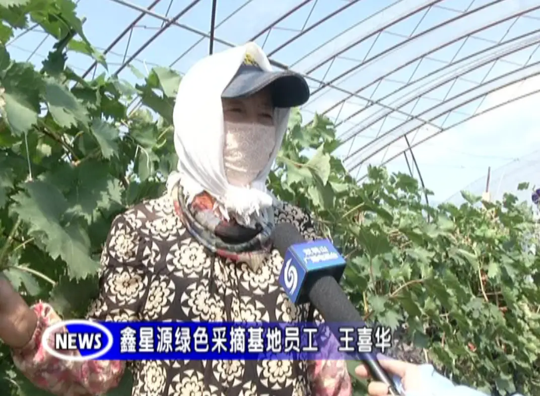 特色种植农业致富_致富种植农业特色产业_特色农业致富项目