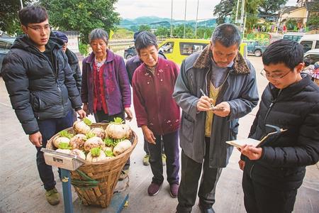 萝卜种植效益_萝卜制种高产技术_萝卜种植致富案例