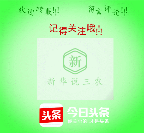 养母猪的养殖技术_母猪养殖技术要点_养殖母猪要点技术与管理