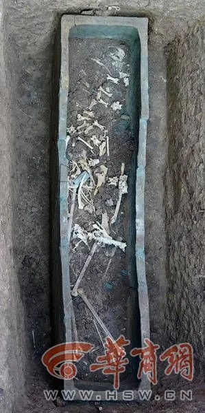 致富经陆龟_致富经乌龟_致富经龟养殖视频