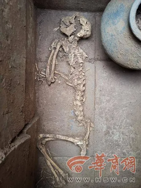 致富经陆龟_致富经乌龟_致富经龟养殖视频