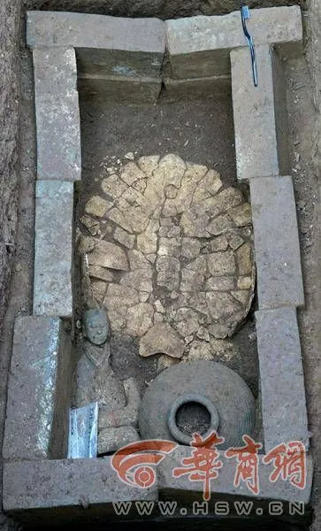 致富经乌龟_致富经陆龟_致富经龟养殖视频