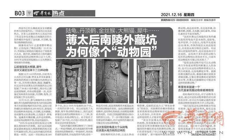致富经陆龟_致富经龟养殖视频_致富经乌龟