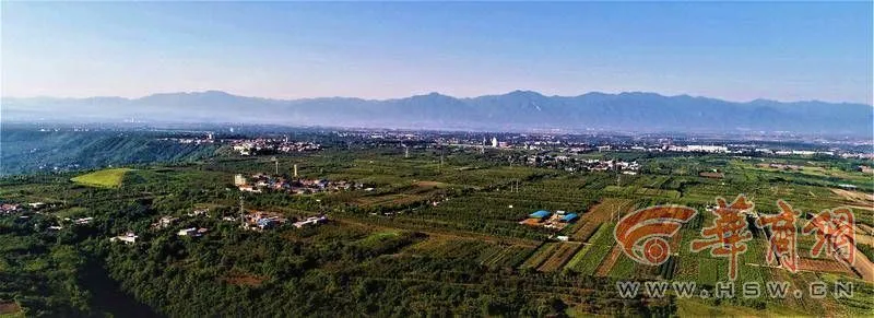 致富经乌龟_致富经龟养殖视频_致富经陆龟