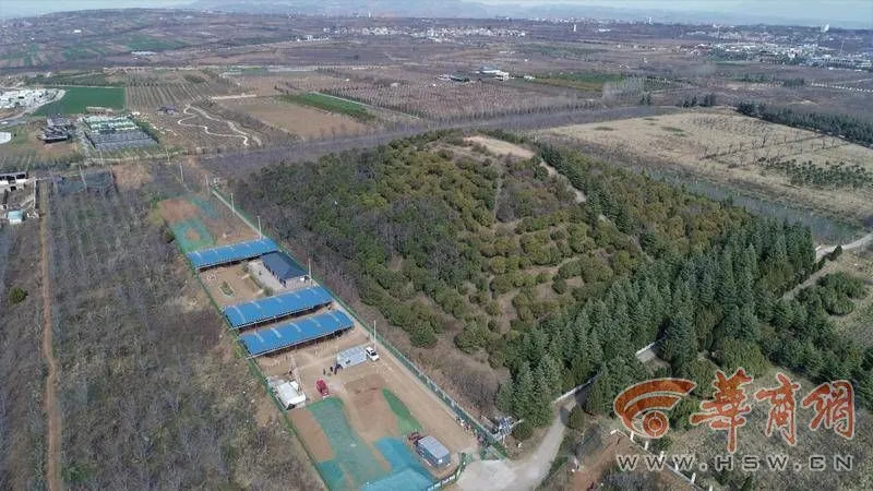致富经陆龟_致富经乌龟_致富经龟养殖视频