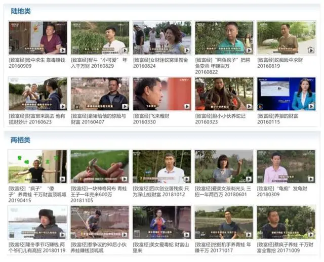 致富经骆驼养殖_养骆驼致富经_致富经骆驼养殖场视频