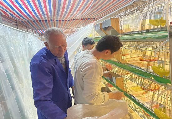 组建养殖笼具，为鹧鸪安家。张韬摄