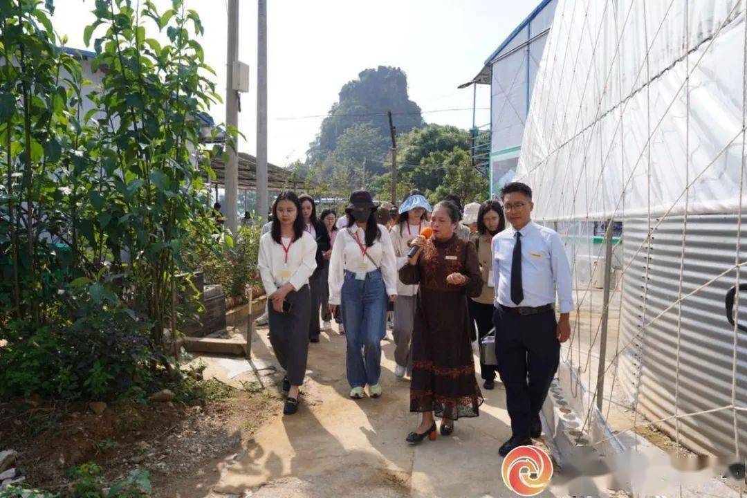 柳江区成团镇：大棚也能养海鲜 “硬核”生态农业助力乡村振兴