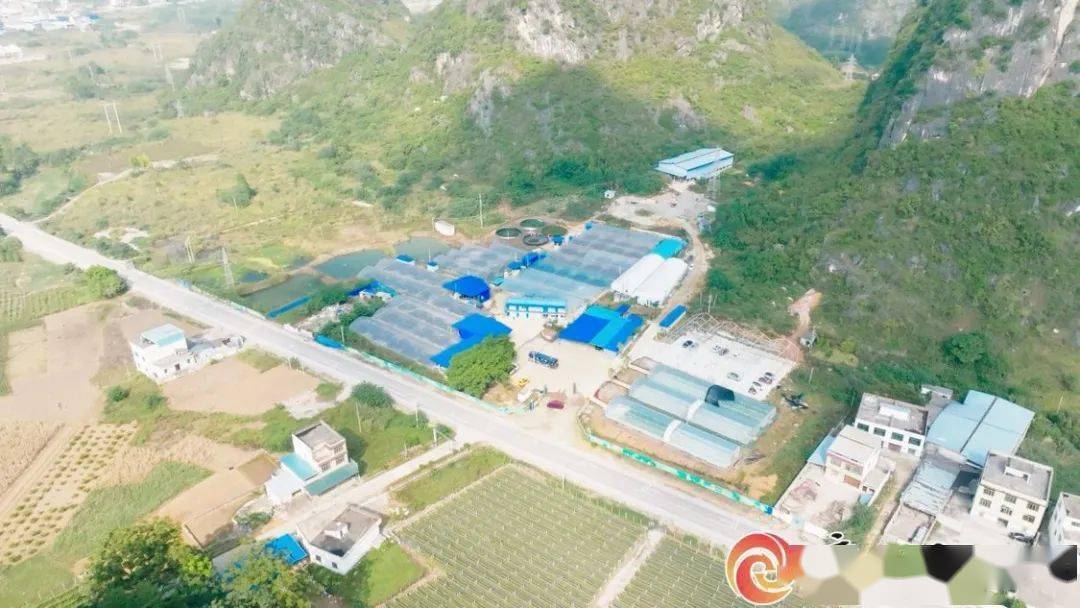 水产养殖业致富项目_水产养殖项目致富_致富养殖水产项目介绍