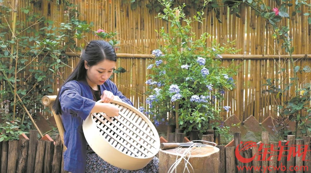 新沂种植作物_农村致富新项目种植业_新沂种植致富