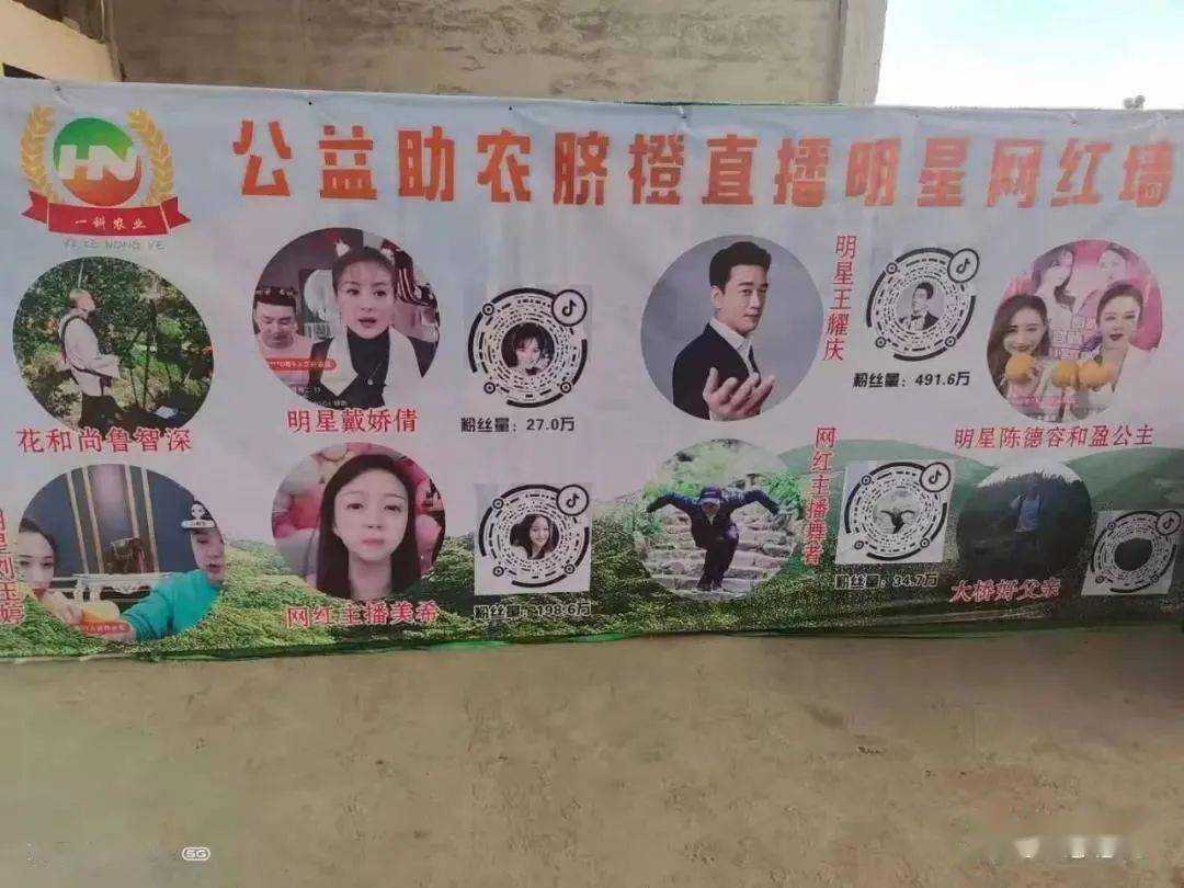 种植脐橙的有利自然条件_脐橙种植成本和利润及风险_种植脐橙增收致富