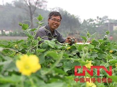 致富经花椒女_致富经花椒_花椒种植致富带头人先进事迹