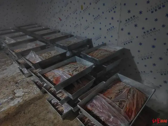 农广天地蚯蚓养殖视频_蚯蚓地龙养殖技术视频_农广天地蚯蚓养殖技术视频