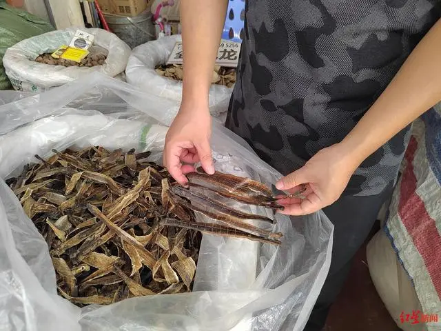 蚯蚓地龙养殖技术视频_农广天地蚯蚓养殖技术视频_农广天地蚯蚓养殖视频