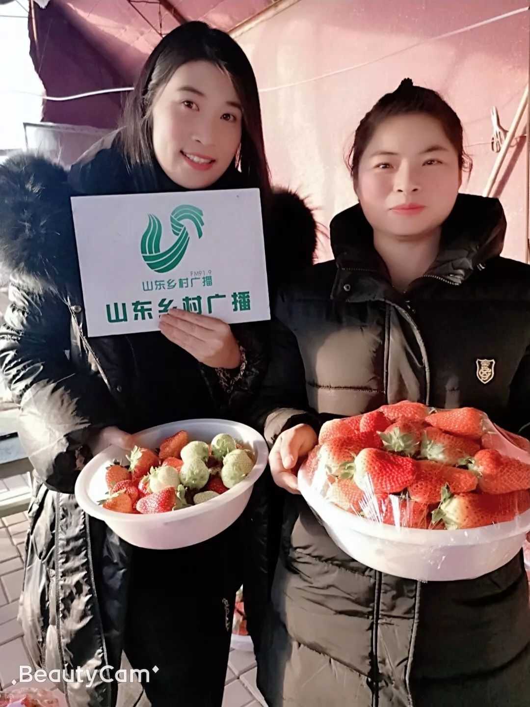 养蜜蜂授粉_授粉蜂养殖技术_养蜂授粉蜜蜂多少钱