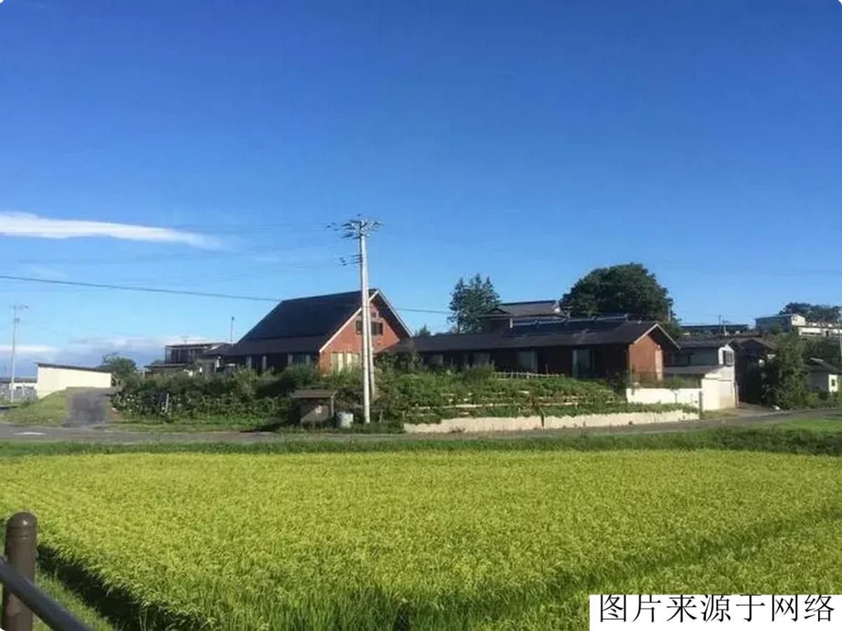 养羊致富_致富经养殖什么羊最好_养羊的致富经