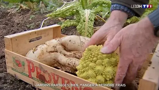 挣钱致富诀窍视频_挣钱诀窍致富经_赚钱致富小窍门大全