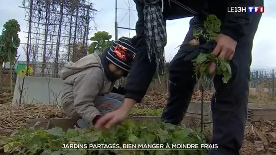挣钱致富诀窍视频_挣钱诀窍致富经_赚钱致富小窍门大全