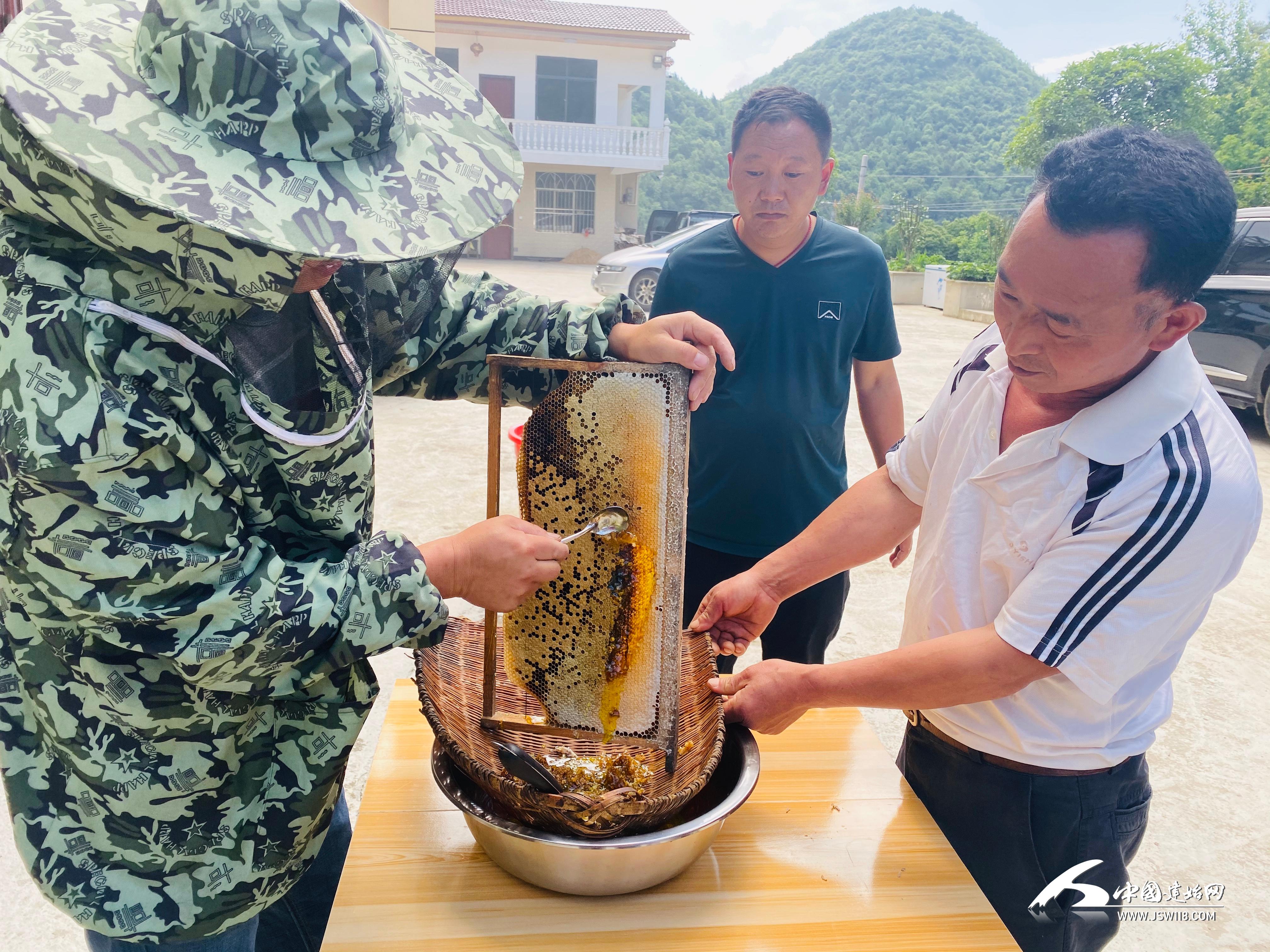 谭宗忠：返乡创业 种植中药材治“穷根”