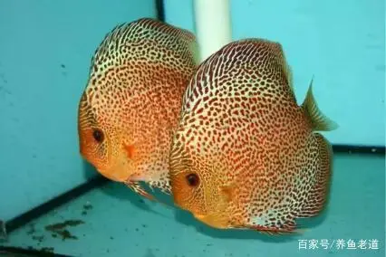 挣钱致富诀窍视频_挣钱诀窍致富经_挣钱致富诀窍是什么