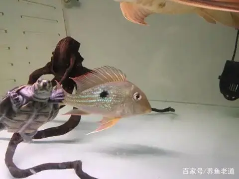 挣钱致富诀窍是什么_挣钱致富诀窍视频_挣钱诀窍致富经