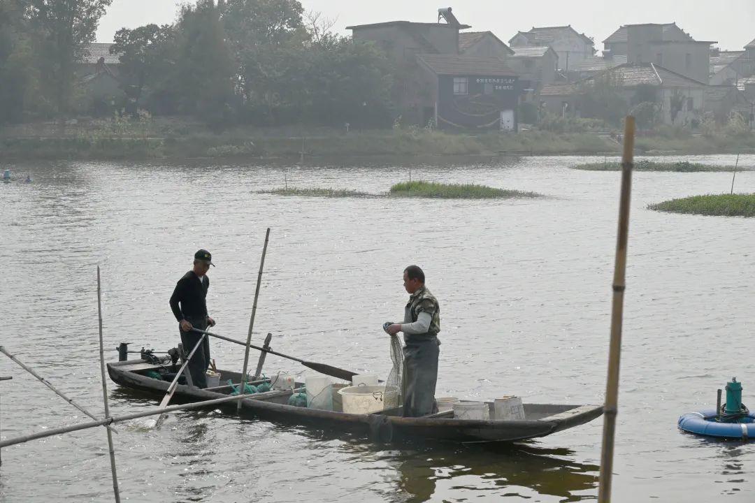 虾蟹养殖主要采用什么方法_养殖虾蟹技术赚钱不_虾蟹养殖学