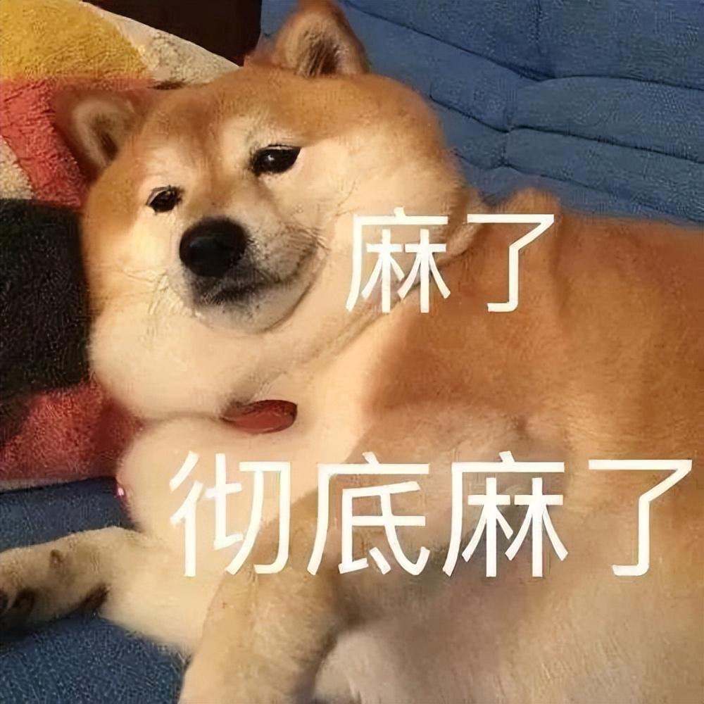 养殖红薯致富_致富红薯养殖视频_种红薯致富经