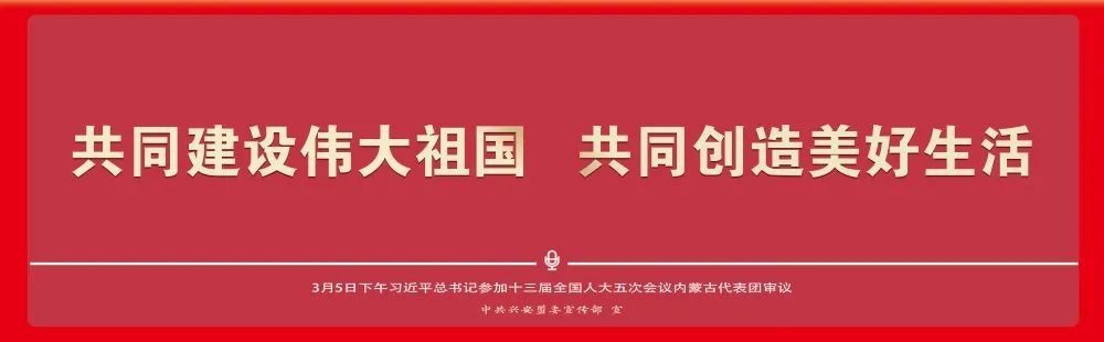 【致富带头人】王淑琴：中药材种出致富“良方”
