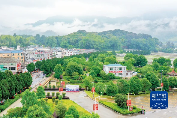 致富经贵州雷金荣贵妃鸡_致富经贵妃鸡养殖视频全集_致富经贵妃鸡散养视频全集