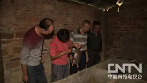 致富logo图片_致富chief是真的假的_致富经尧璇照片