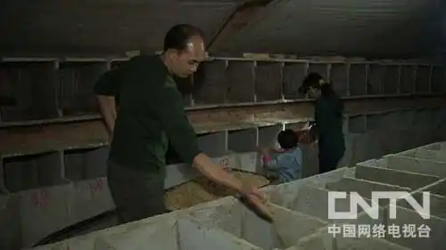 致富logo图片_致富chief是真的假的_致富经尧璇照片