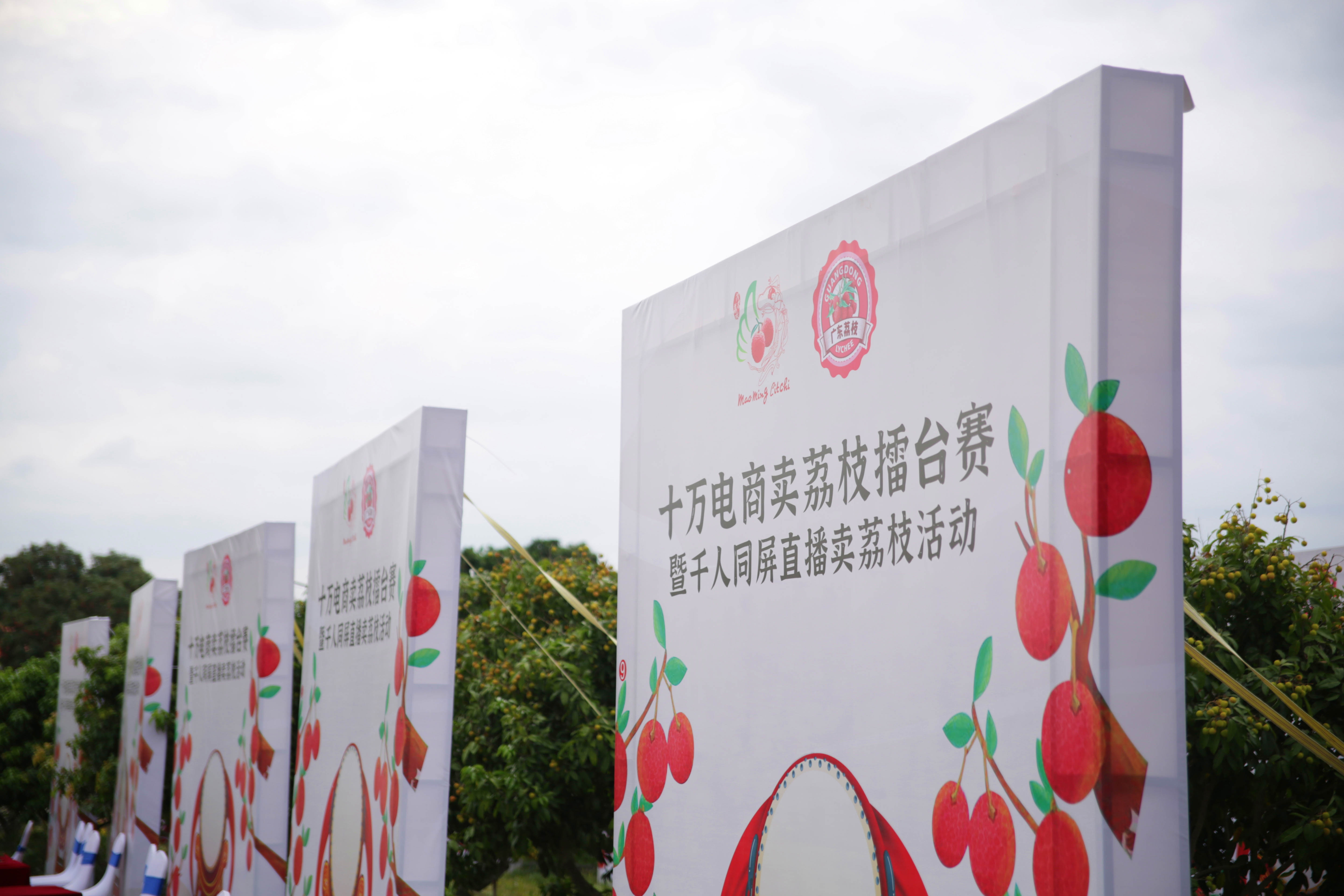 沙棘的价钱_致富经沙棘一个亿_致富经沙棘