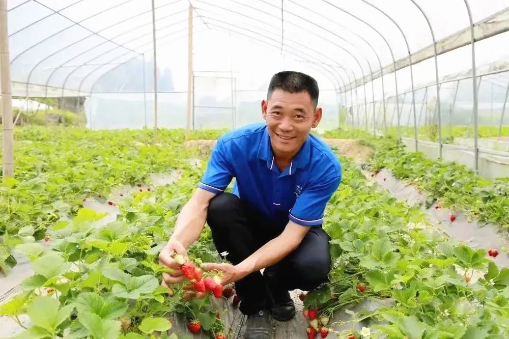 种植致富带头人发言稿_种植致富带头人主要事迹_党员种植致富瓜