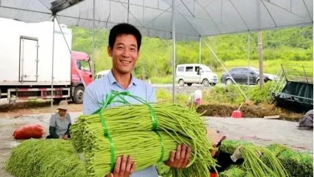 党员种植致富瓜_种植致富带头人发言稿_种植致富带头人主要事迹