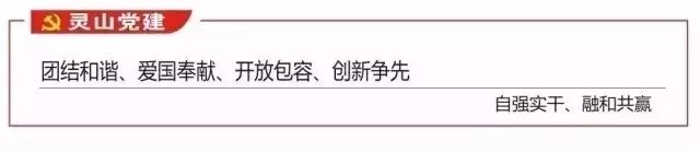 【基层党建】檀圩：党建“播种” 瓜业兴旺