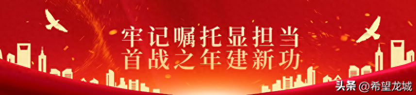 学习借鉴“千万工程”经验 打造美丽宜居大平房