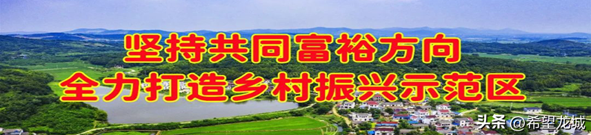 借鉴优质规划经验材料_优秀规划案例_借鉴优质规划经验材料怎么写