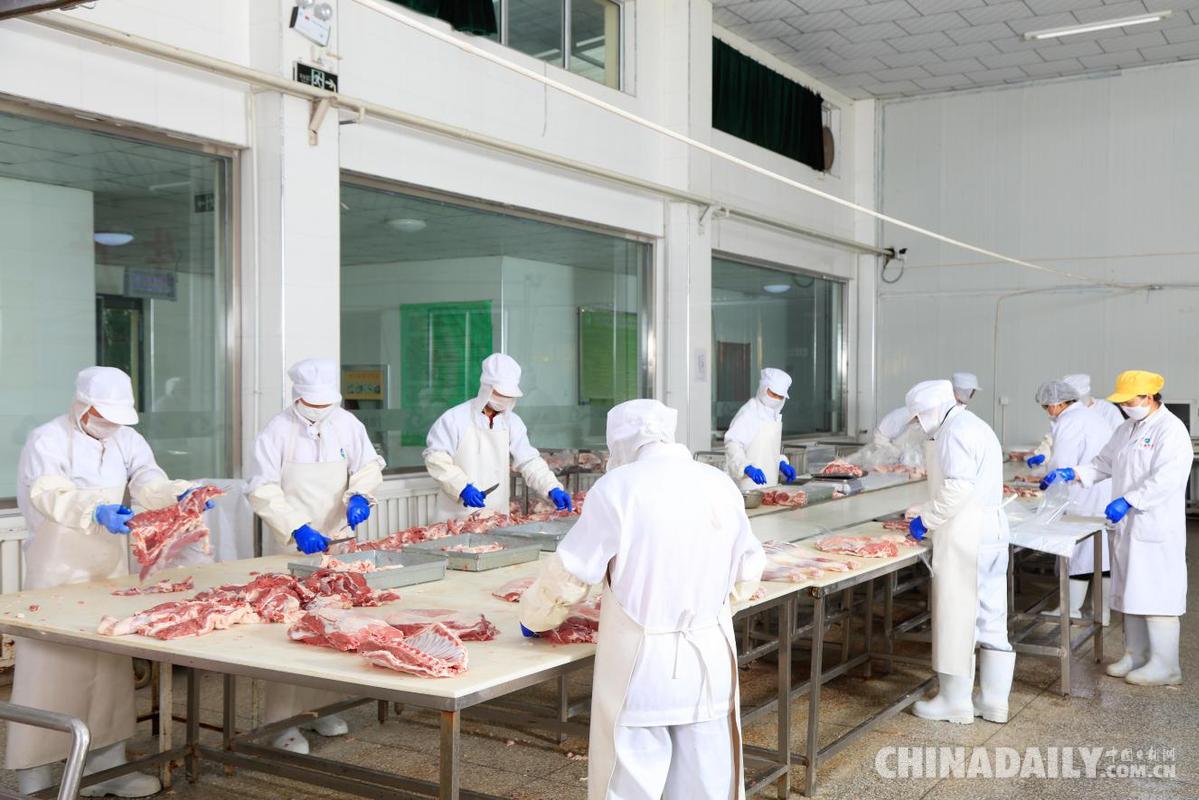 家庭养殖致富模式_致富养殖业_家庭养殖致富项目有哪些
