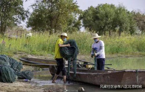养螃蟹视频一步一步的视频_海螃蟹养殖技术视频_螃蟹养殖技术视频中央七套